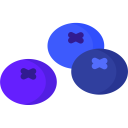 Blueberries  Icon