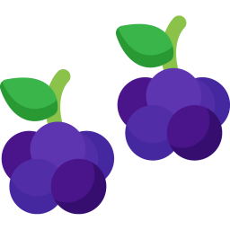 Blackberries  Icon