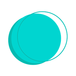 Circle  Icon