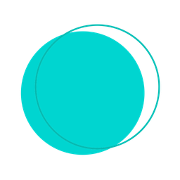 Circle  Icon