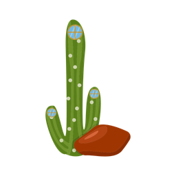 Cactus  Icon