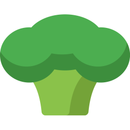 Broccoli  Icon