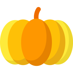 Pumkin  Icon