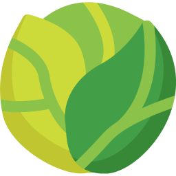 Cabbage  Icon