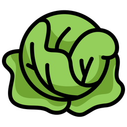 Cabbage  Icon