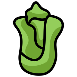 Lettuce  Icon