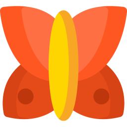 Butterfly  Icon