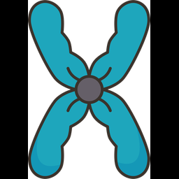 Chromosome  Icon