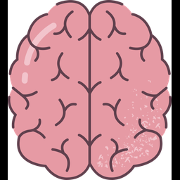 Brain  Icon