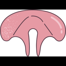 Diaphragm  Icon