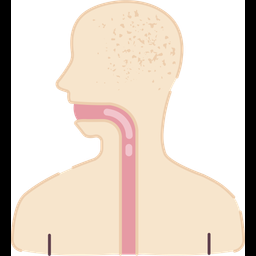 Esophagus  Icon