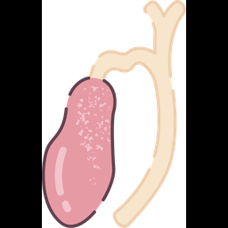 Gallbladder  Icon