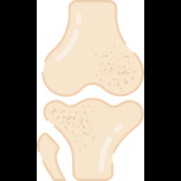 Knee joint  Icon