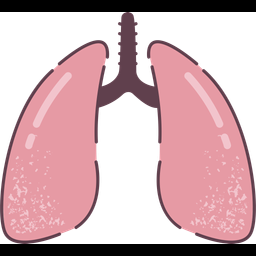 Lungs  Icon