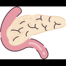 Pancreas  Icon