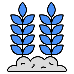 Barley  Icon