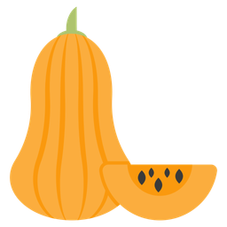 Butternut Pumpkin  Icon