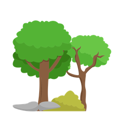 Tree  Icon