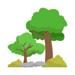 Tree  Icon