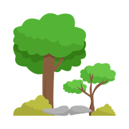 Tree  Icon