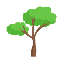 Tree  Icon