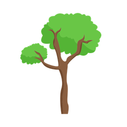 Tree  Icon