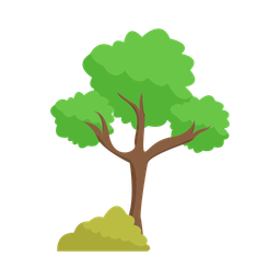 Tree  Icon