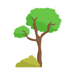 Tree  Icon