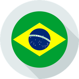 Brazil  Icon