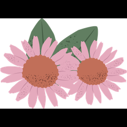 Echinacea  Icon