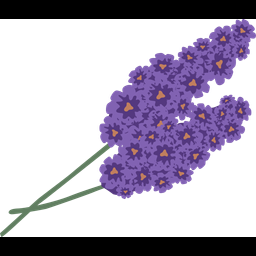 Lavender  Icon