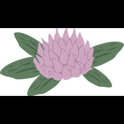 Red clover  Icon