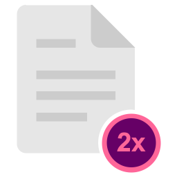 2X file  Icon