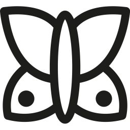 Butterfly  Icon