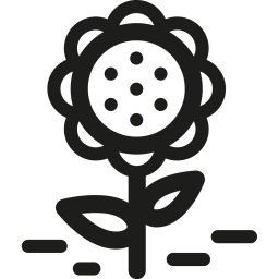 Flower  Icon