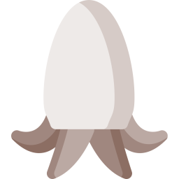 Cuttlefish  Icon