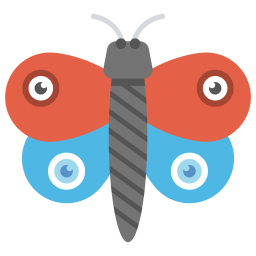 Butterfly  Icon