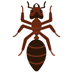 Ant  Icon