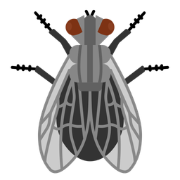 Fly  Icon