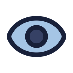 Eye  Icon