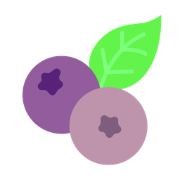 Blueberry  Icon