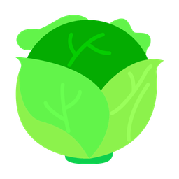 Cabbage  Icon