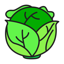 Cabbage  Icon