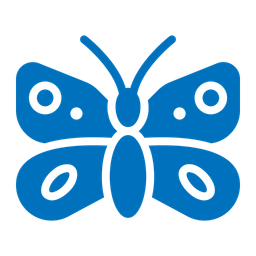 Butterfly  Icon