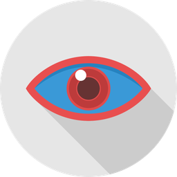 Eye  Icon