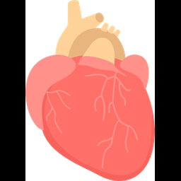 Heart  Icon