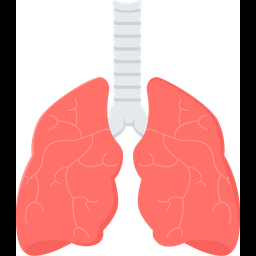 Lungs  Icon