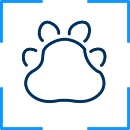 Animal paw  Icon