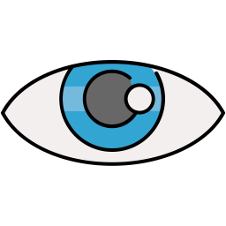 Eye  Icon