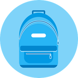 Bag  Icon